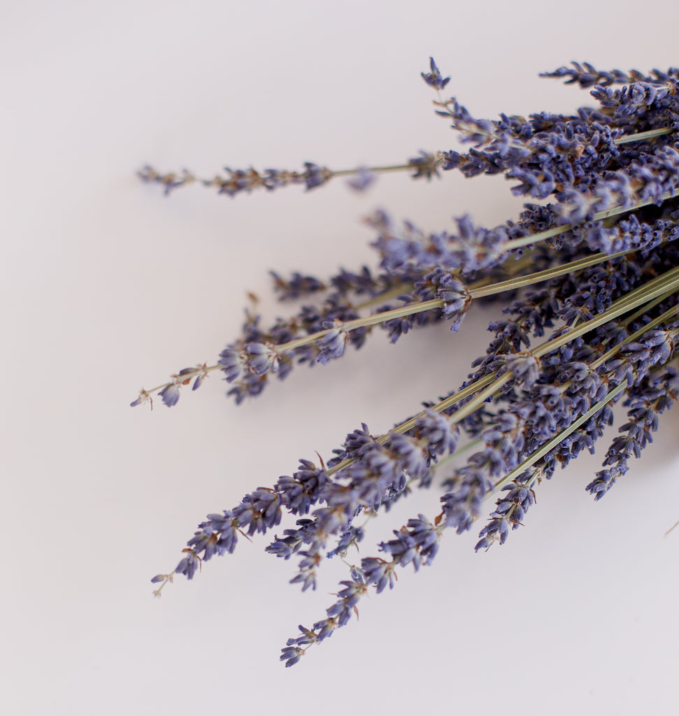 detailed-image-of-dried-lavender