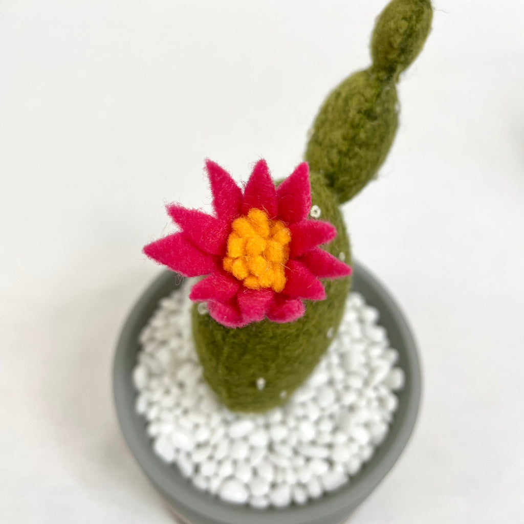 handcrafted cactus