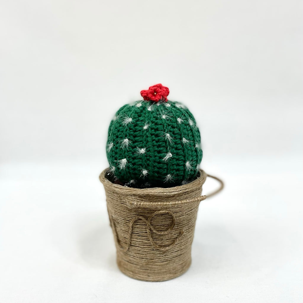 hand crocheted cactus
