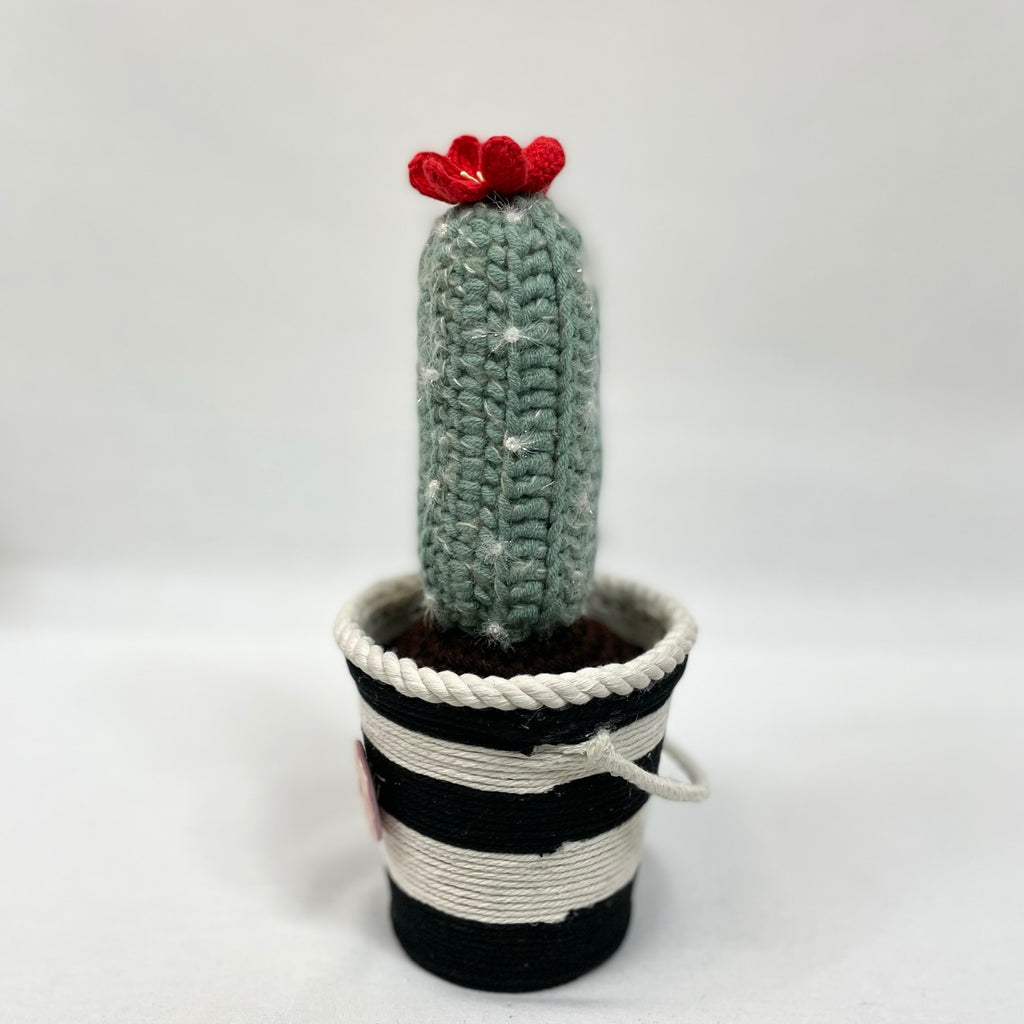 handcrafted cactus